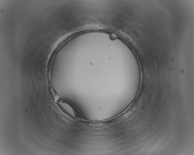 X0000072991168200608211508