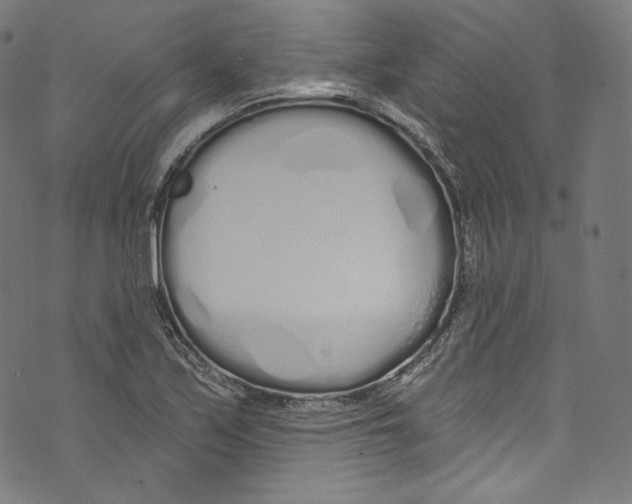 X0000072991171200608211508