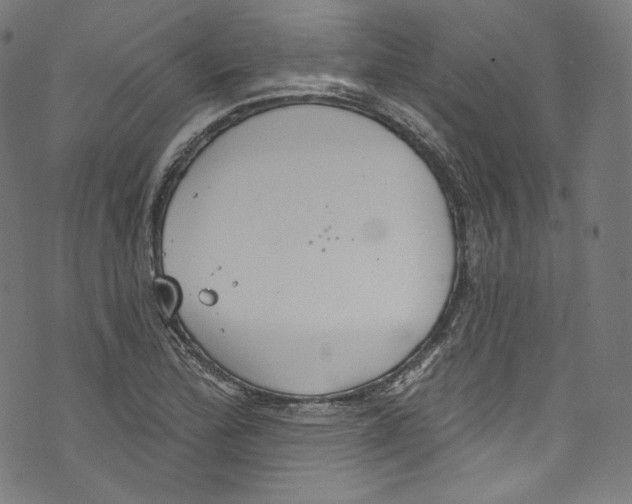 X0000072991172200608211508