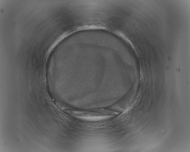 X0000072991173200608211508