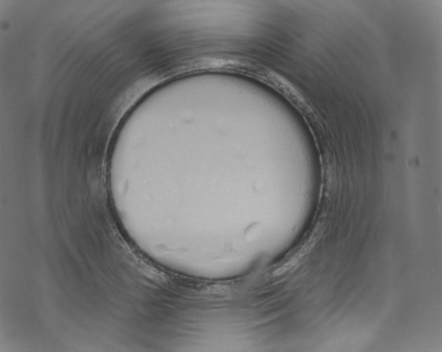 X0000072991178200608211508