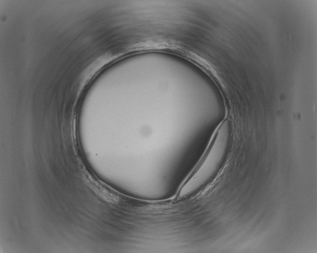 X0000072991179200608211508