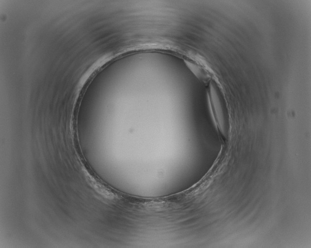 X0000072991181200608211508