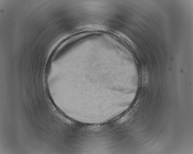 X0000072991182200608211508