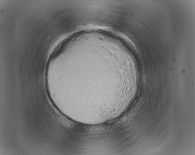 X0000072991183200608211508