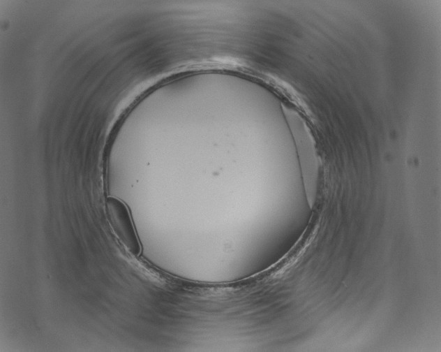 X0000072991184200608211508