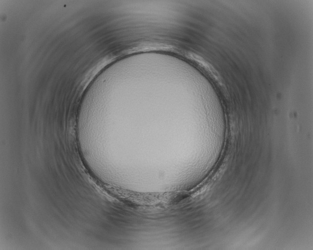 X0000072991185200608211508