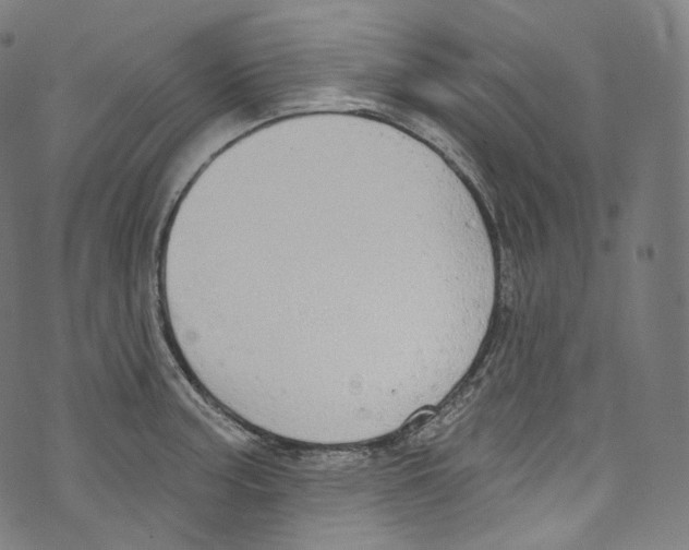 X0000072991187200608211508