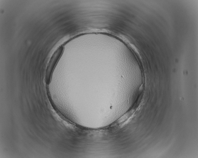 X0000072991189200608211508