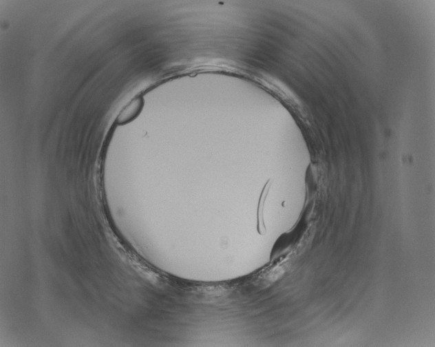 X0000072991190200608211508