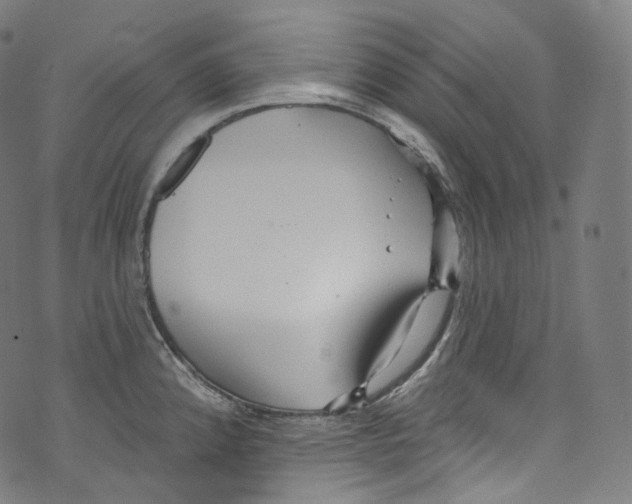 X0000072991192200608211508