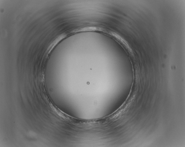 X0000072991193200608211508