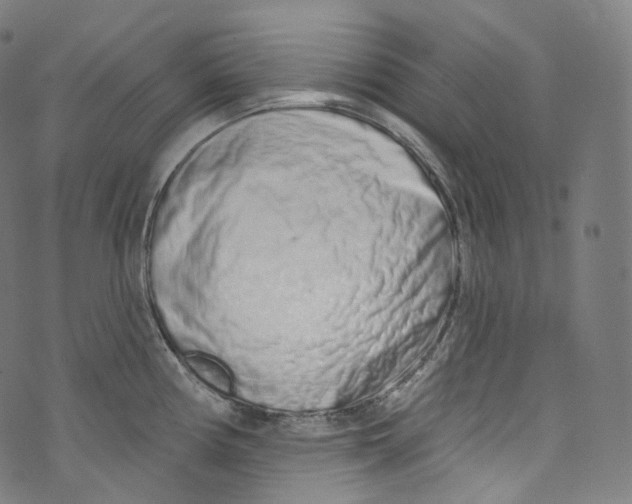 X0000072991194200608211508