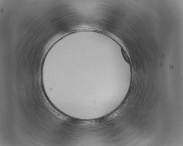 X0000072991195200608211508