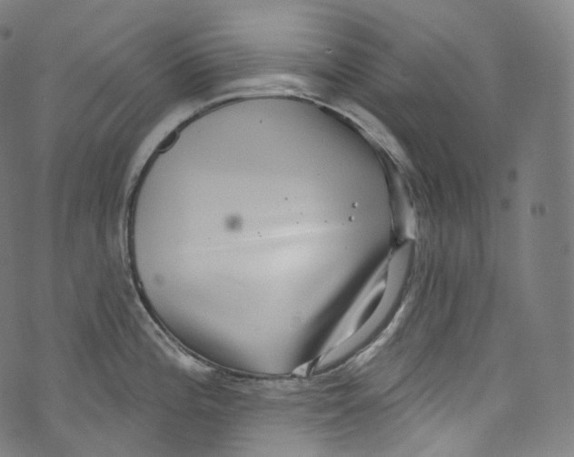 X0000072991196200608211508