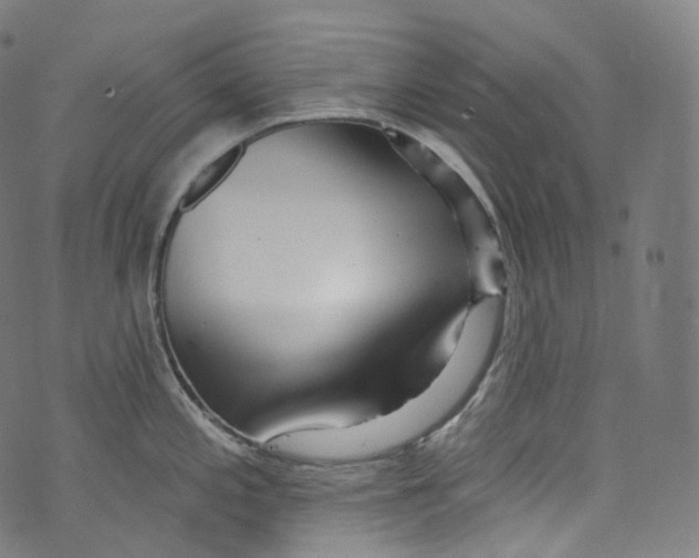 X0000072991197200608211508