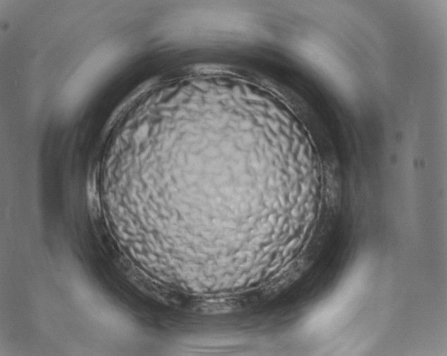 X0000072991198200608211508