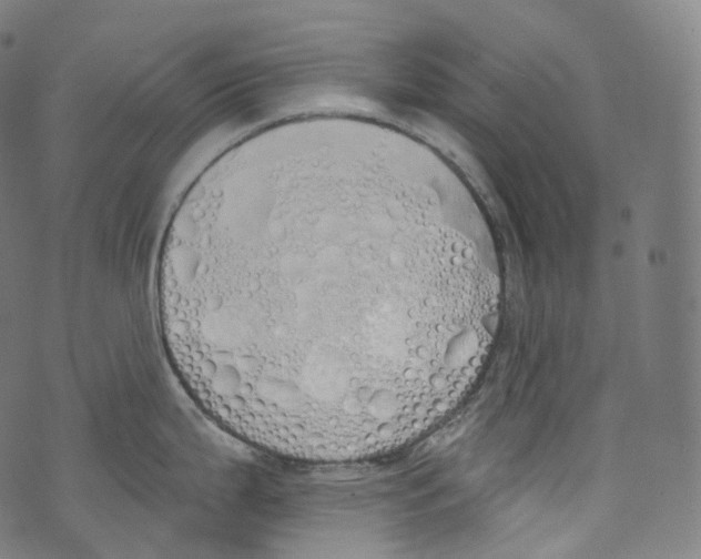 X0000072991199200608211508