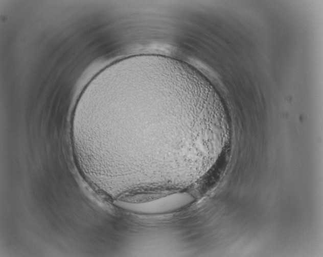 X0000072991200200608211508