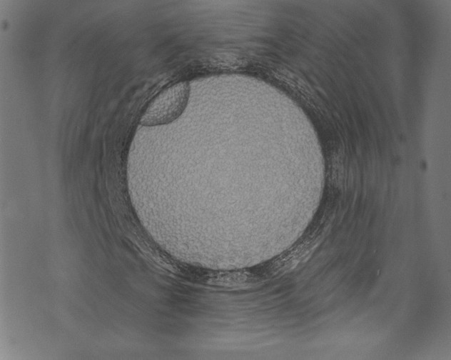 X0000072991201200608211507