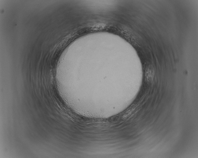 X0000072991204200608211507