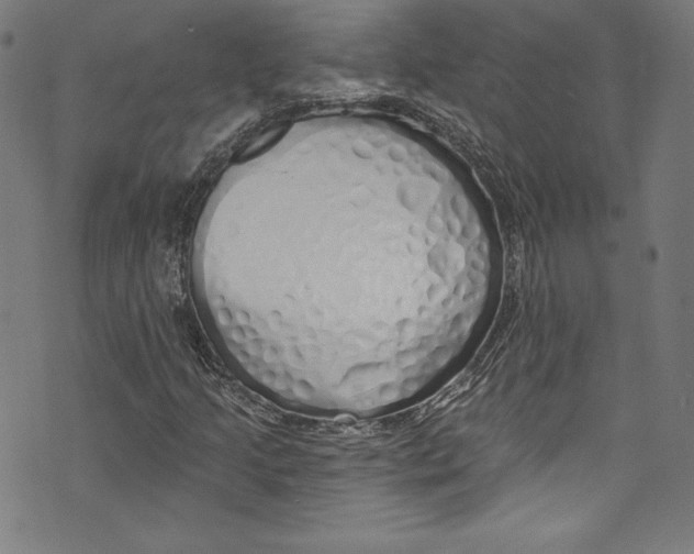 X0000072991205200608211507