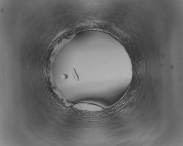 X0000072991206200608211507