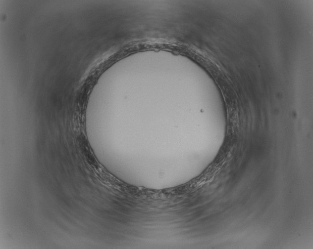 X0000072991207200608211507