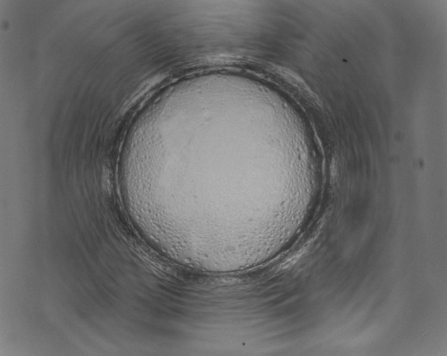 X0000072991209200608211507