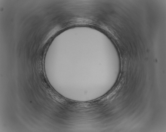 X0000072991211200608211507