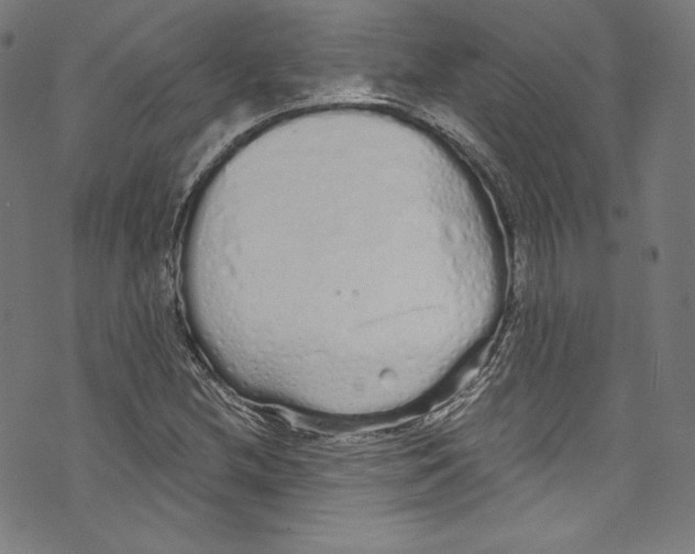 X0000072991212200608211507