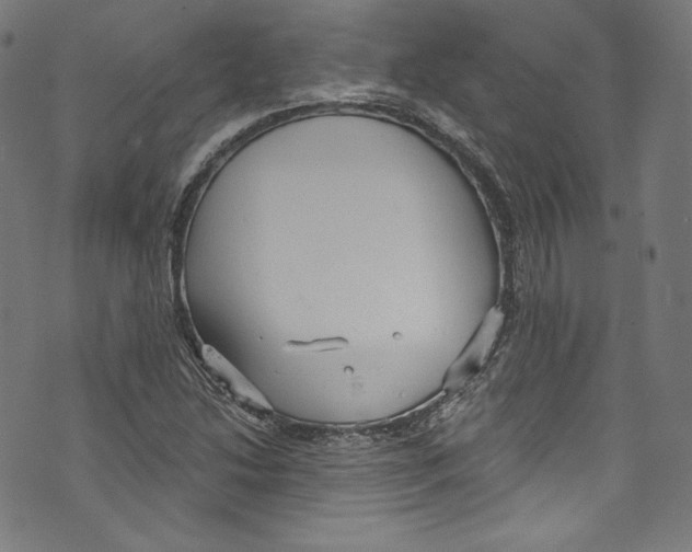 X0000072991214200608211507