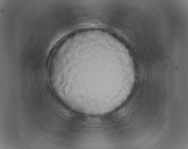 X0000072991215200608211507