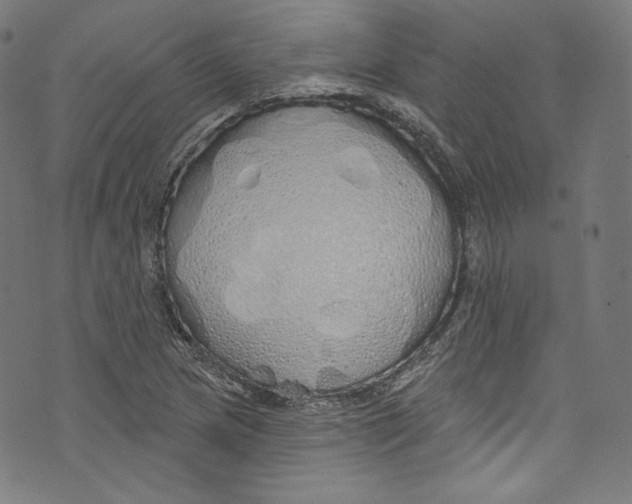 X0000072991217200608211507