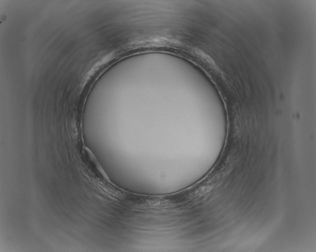 X0000072991218200608211507