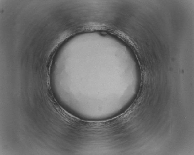 X0000072991219200608211507