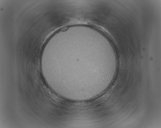 X0000072991220200608211507