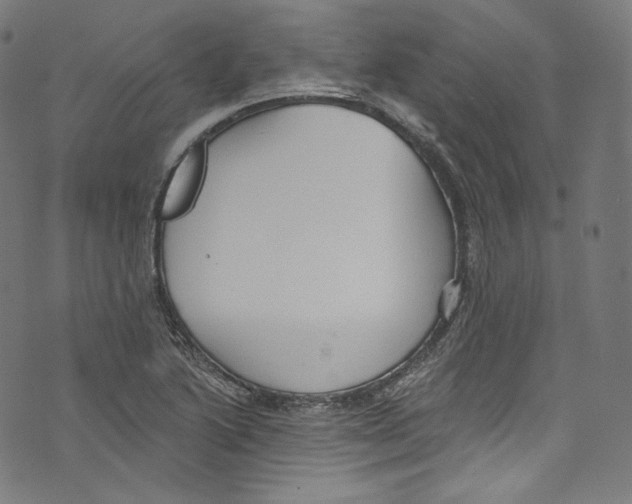 X0000072991222200608211507