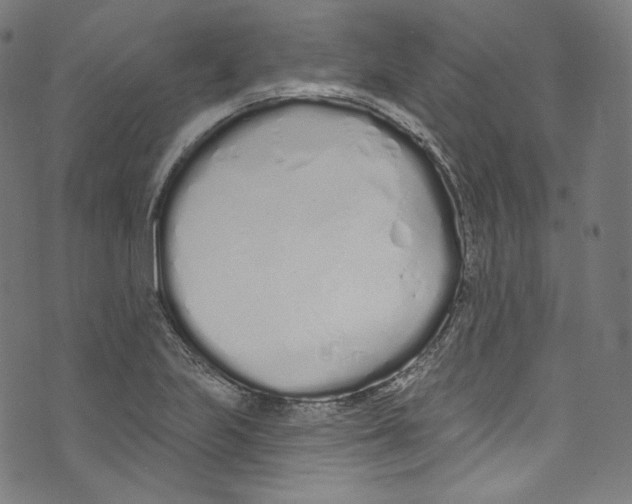 X0000072991223200608211507