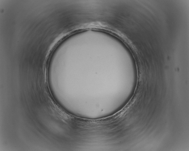 X0000072991224200608211507