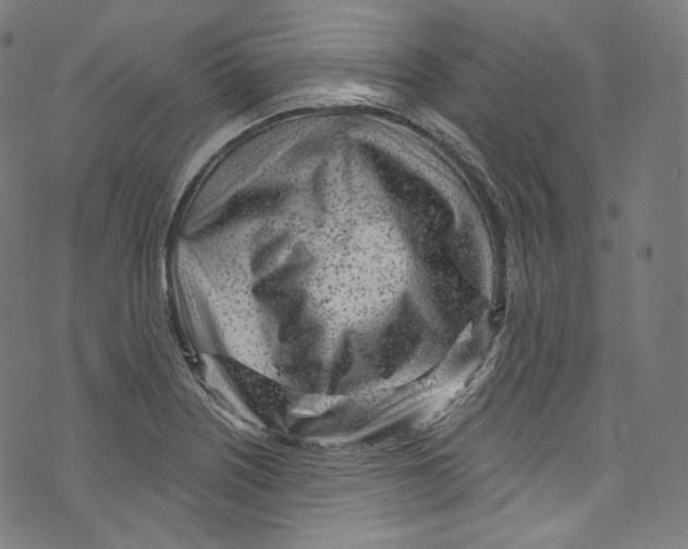 X0000072991226200608211507