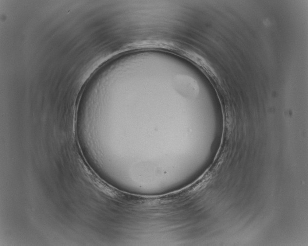 X0000072991228200608211507