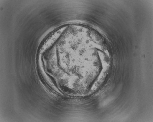 X0000072991229200608211507