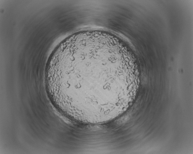 X0000072991231200608211507