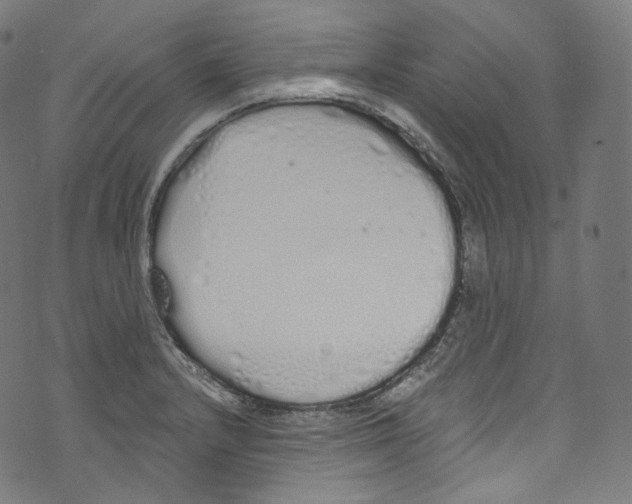 X0000072991232200608211507