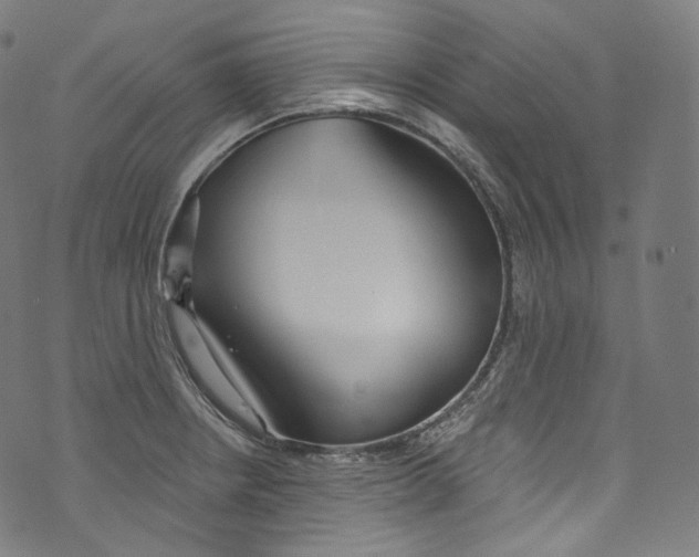 X0000072991234200608211507