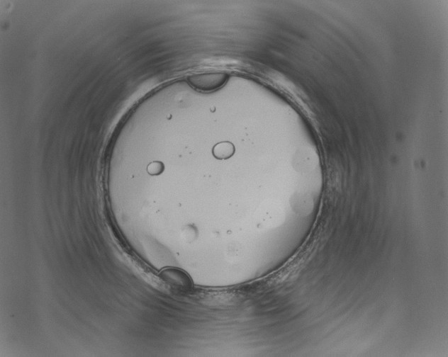 X0000072991235200608211507