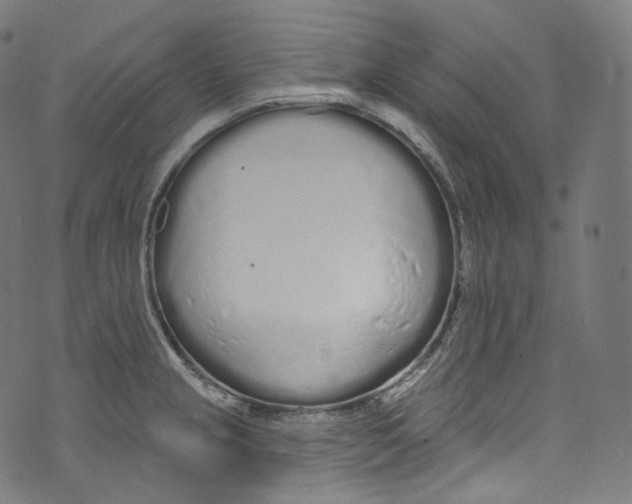 X0000072991237200608211508