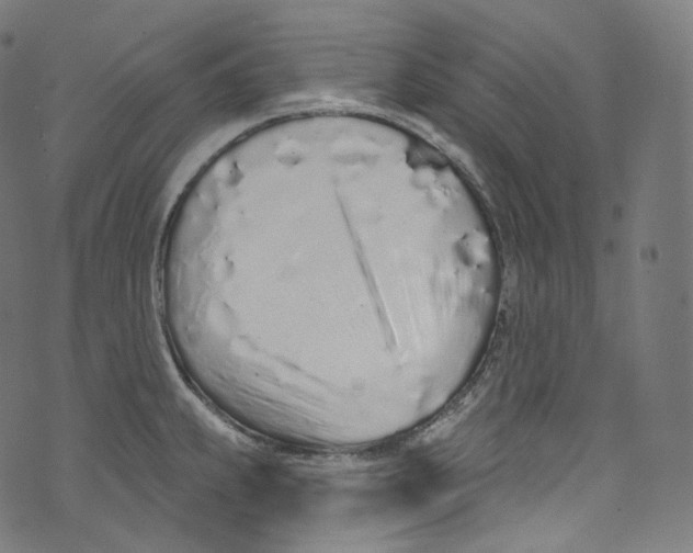 X0000072991239200608211508