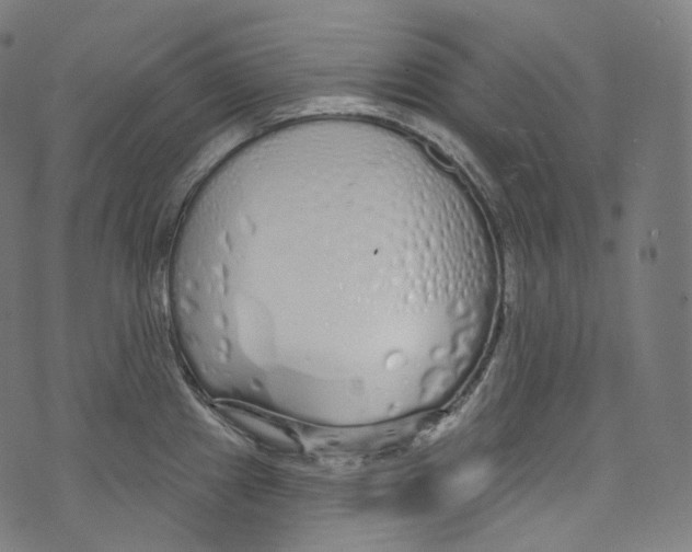 X0000072991241200608211508